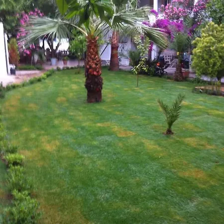 Gunisigi Bed & Breakfast