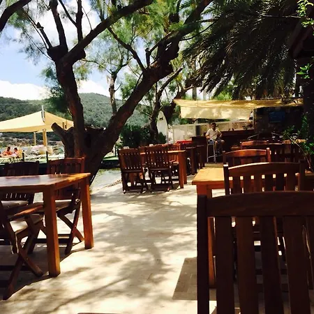 Gunisigi * Golturkbuku