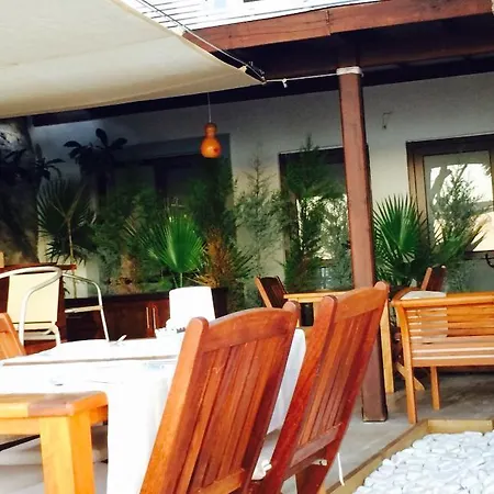 Gunisigi * Golturkbuku