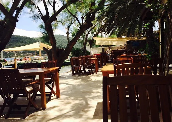 Gunisigi * غولتوركبوكو