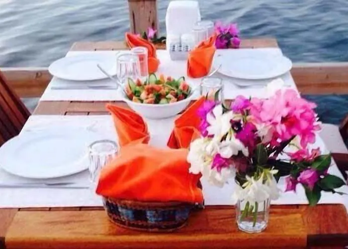 Bed and breakfast Gunisigi Golturkbuku