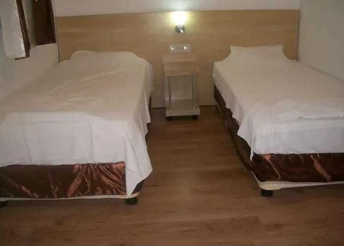 Gunisigi * Golturkbuku