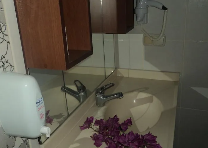 Gunisigi Golturkbuku