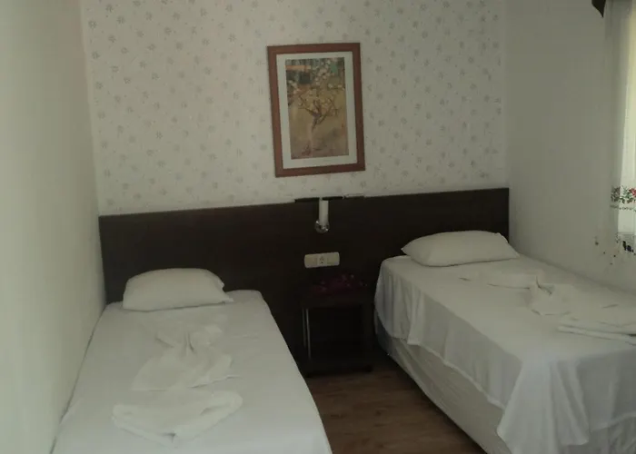 Gunisigi Bed and breakfast Golturkbuku