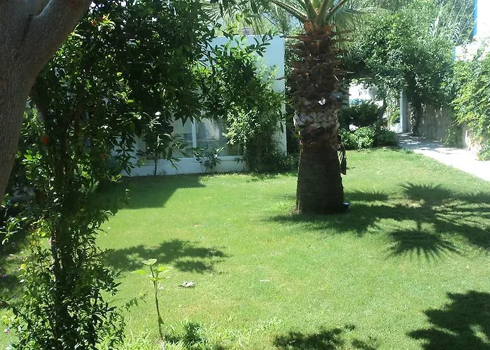 Gunisigi Bed and breakfast Golturkbuku